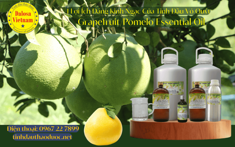 11-loi-ich-cho-suc-khoe-cua-tinh-dau-vo-buoi-pomelo-essential-oil