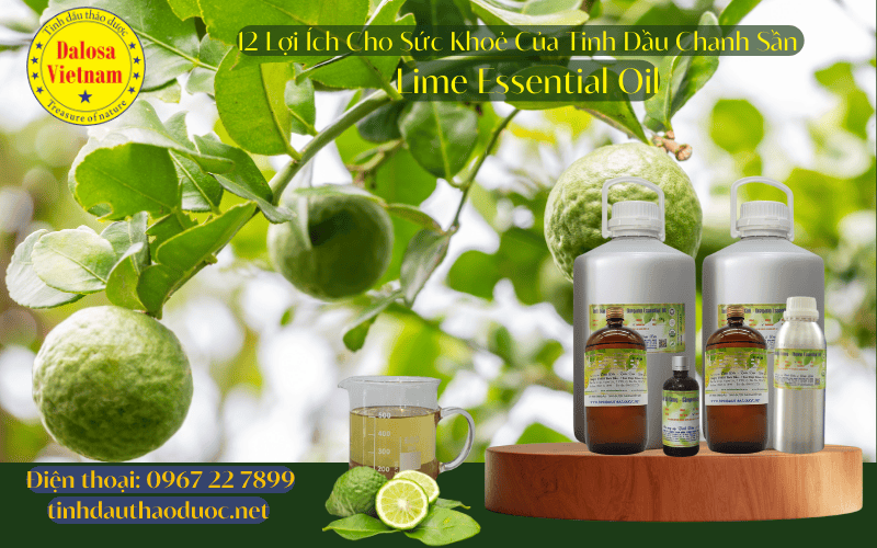 12-loi-ich-suc-khoe-cua-tinh-dau-chanh-san-lime-essential-oil