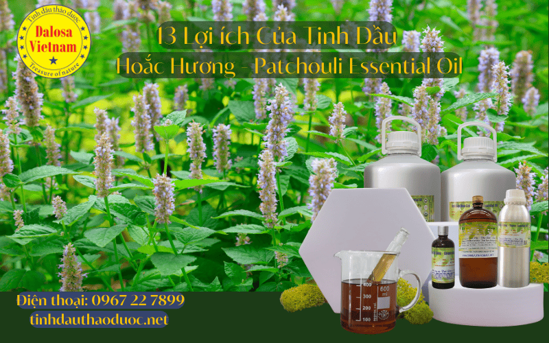 13-loi-ich-cho-suc-khoe-cua-tinh-dau-hoac-huong-patchouli-essential-oil