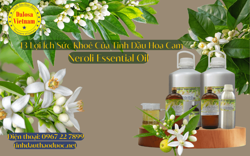 13-loi-ich-suc-khoe-cua-tinh-dau-hoa-cam-neroli-essential-oil