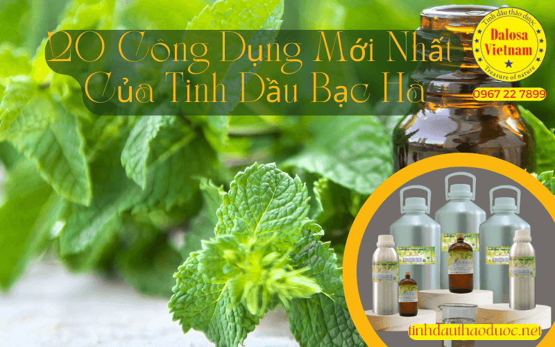 20-cong-dung-moi-nhat-cua-tinh-dau-bac-ha