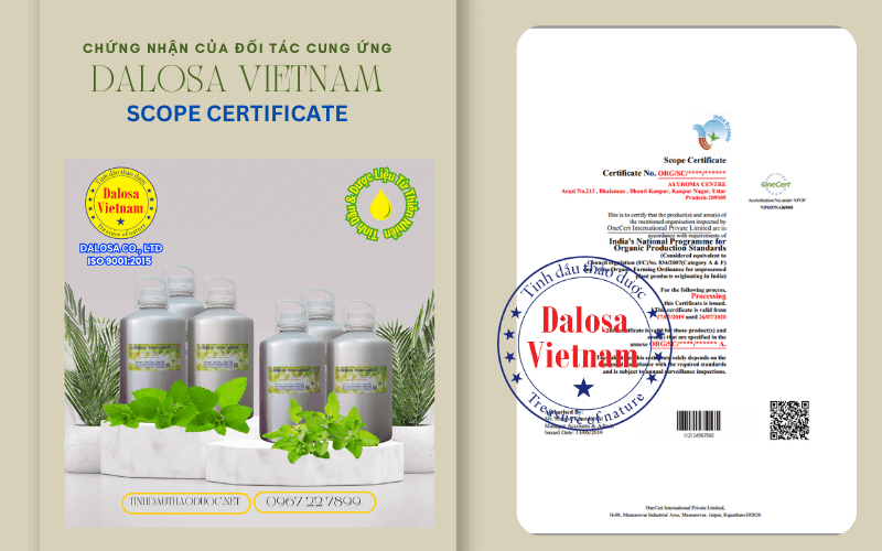 chung_nhan_scope_certificate_ayuroma