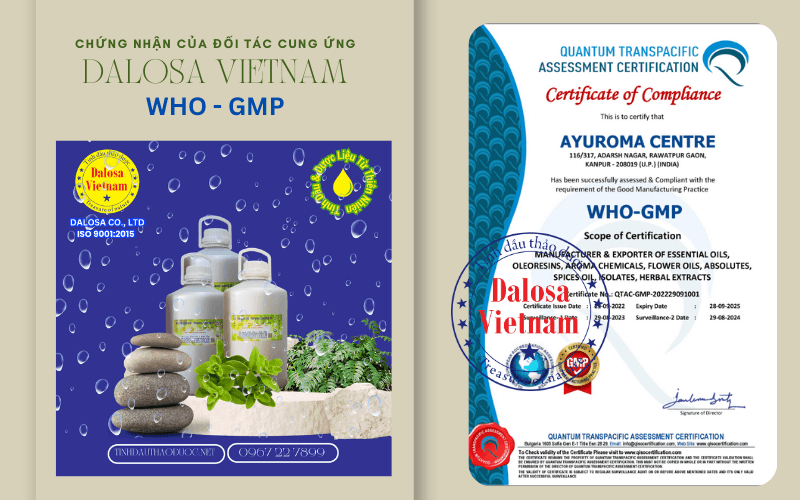 chung_nhan_who-gmp_ayuroma