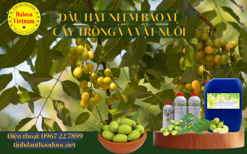 dau-hat-neem-bao-ve-cay-trong-vat-nuoi