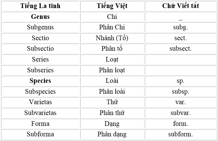 ten-thuc-vat-dalosa-vietnam-3