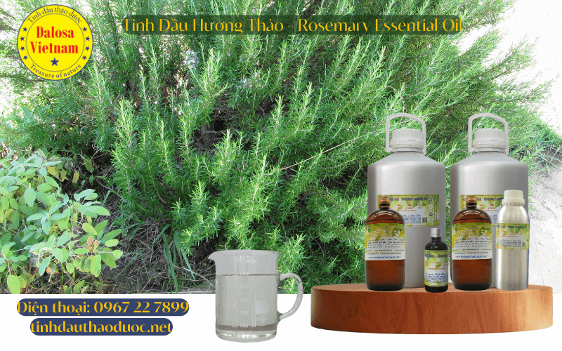 tinh-dau-huong-thao-rosemary-essential-oil