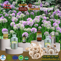 tinh-dau-toi-garlic-essential-oil-1-lit - ảnh nhỏ  1