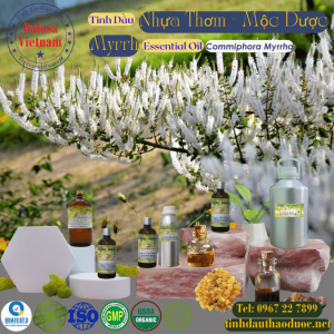 Tinh Dầu Nhựa Thơm - Mộc Dược - Myrrh Essential Oil 1 lít