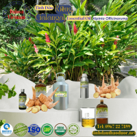 tinh-dau-cu-rieng-galangal-essential-oil-1-lit - ảnh nhỏ  1