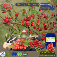 dau-nu-tam-xuan-rosehip-oil-1-lit - ảnh nhỏ  1