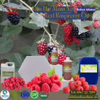 dau-hat-mam-xoi-red-raspberry-1-lit - ảnh nhỏ  1