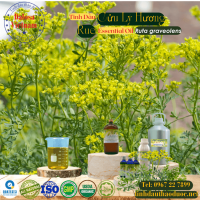 tinh-dau-cuu-ly-huong-rue-essential-oil-1-lit - ảnh nhỏ  1