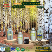 tinh-dau-bach-duong-ngot-sweet-birch-essential-oil-1-lit - ảnh nhỏ  1