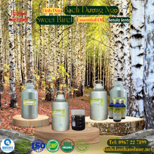 Tinh Dầu Bạch Dương Ngọt - Sweet Birch Essential Oil 1 lít