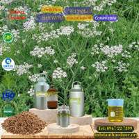 tinh-dau-caraway-essential-oil-1-lit - ảnh nhỏ  1