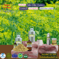 tinh-dau-tieu-hoi-huong-fennel-essential-oil-1-lit - ảnh nhỏ  1