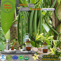 tinh-dau-vani-vanilla-1-lit - ảnh nhỏ  1