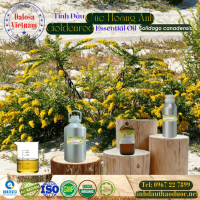 tinh-dau-cuc-hoang-anh-goldenrod-essential-oil-1-lit - ảnh nhỏ  1