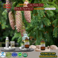 tinh-dau-van-sam-den-black-spruce-essential-oil-1-lit - ảnh nhỏ  1