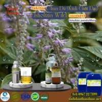 tinh-dau-chua-du-kinh-gioi-dai-elsholtzia-wild-essential-oil-1-lit - ảnh nhỏ  1