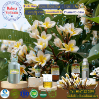 tinh-dau-hoa-dai-hoa-su-frangipani-essential-oil-1-lit - ảnh nhỏ  1