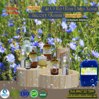 tinh-dau-cai-o-ro-diep-xoan-chicory-essential-oil-1-lit - ảnh nhỏ  1