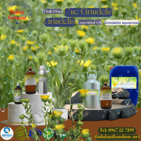 tinh-dau-cuc-grindelia-grindelia-essential-oil-1-lit - ảnh nhỏ  1