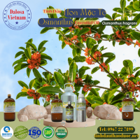 tinh-dau-hoa-moc-te-hoa-moc-osmanthus-essential-oil-1-lit - ảnh nhỏ  1