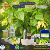 tinh-dau-ngoc-lan-tay-ylang-ylang-essential-oil-1-lit - ảnh nhỏ  1